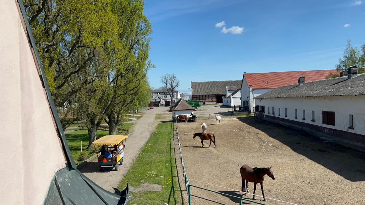 Dworek Bielin Exterior photo